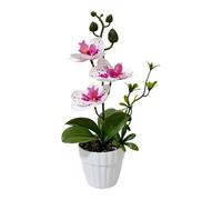 per decorazione Orchidea Artificiale Phalaenopsis con Ciottoli per Espositore da