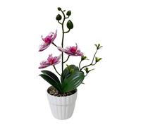 per decorazione Orchidea Artificiale Phalaenopsis con Ciottoli per Espositore da