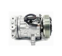 Per Dodge Per Dakota Per Durango Ram 1500 55057333AA 55057334AA 55056335AA 55055517AC 55055517AG Compressore AC Compressore aria condizionata