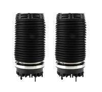 Per Dodge Per Ram 1500 2019-2025 Gruppo Molla Sospensione Pneumatica | Cuscino Ad Inossidabile E Resistente Agli Urti 68260938AA 68260938AB Aria Posteriore