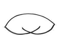 Per E60 Serie 5 525i 530i 528i 2004-2010 Guarnizione In Gomma Modanatura Parabrezza Posteriore Superiore Dell'auto Protezione nera per rivestimento porta