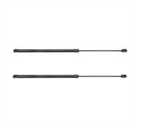 Per Edge 2015-2023 Supporto per montante del cofano FT4BR16C826AC