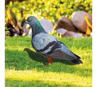 per FACULX Simulation Pigeon, Uccello artificiale in acrilico, mini animale d'imitazione rimovibile, grazioso modello di piccione finto, per giardino, corridoio, soggiorno, camera da letto (B)