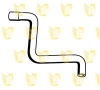 Per Lancia Ypsilon Vers 1.2 Manicotto Radiatore Superiore 46543621