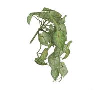 Per foglie finte di Pothos: vite artificiale realistica per la decorazione della casa, adatta con vasi o espositori da appendere, lunga durata (giallo e verde)
