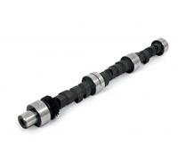 Per Ford 2.9 V6 Motori Gara Piper Camme Albero a Camme