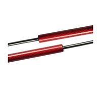 Per Ford Per Kuga Per Fuga 2013-2016 2017 2018 Anteriore Cappuccio Cofano Modificare Struts A Gas Ascensore Supporto Molle A Gas Ammortizzatore CFCKHPTHAZ(9)