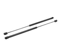 Per Ford Per Mustang SVT Per GTS GT 1994-2004 Cofano Posteriore Ammortizzatore Puntone Braccio Supporto Sollevamento Molle a Gas Bagagliaio