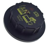 Per Ford Per Taurus Per Sable 3.0L .4L 1998-2005 3F1Z8A080EA 9C348101AA Serbatoio Di Espansione Del Liquido Refrigerante Con Coperchio Compensazione Refrigerante(Only cap 9C348101AA)