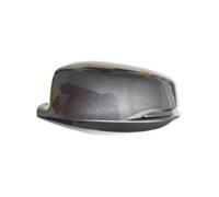 Per Generic Per Accord 9a Generazione Di Copertura Dello Specchietto Retrovisore, 2014-2017, Decorazione Esterna Dell'auto Cover Protettive Specchietti(Space Silver - Left LED)