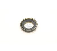 Per GM Chevrolet NP246 NP261 NP263 Nuovo Processo Transfer Custodia Anteriore