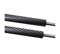 Per Golf 1999 2000 2001 2002 2003 2004 2005 2006 Ammortizzatore Posteriore Barra Puntone Asta Pressione Tronco OE SG301013 LSC-0153 Pistoncini Cofano Posteriore Sostituzione(Black Silver)