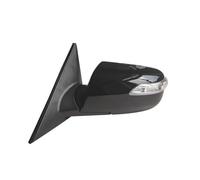 Per Hyundai Per Sonata 2009 Auto Segnale Di Svolta Riscaldamento Elettrico Pieghevole Regolazione Elettrica Laterale Specchietto Retrovisore Gruppo(8 Wire Left)