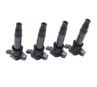 per Hyundai per Tucson per Santa per Fe per Equus 4 Pezzi Bobina di accensione Pacchetto Bobina Bobina a Matita 273013F100 273003F100 Parti Bobina di accensione