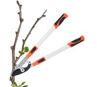 Per il giardinaggio, le forbici da potatura per i degli alberi mozzafiato, il manico lungo lo rende ideale per la manutenzione dei giardini e dei giardini, amichevole: può essere utilizzato