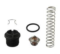 Per il regolatore termico 77707-0010 del riscaldatore della piscina e della stazione termale progettato per la compatibilità con il riscaldatore comune