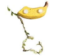 Per Il Terrario Dei Saltatori Rifugio Magnetico Con Design Alla Frutta