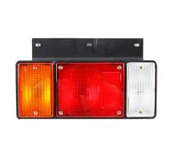 Per Isuzu Per NPR Per ELF Per NPR Per NKR Per NHR Per NLR 1987-2022 Luce direzione posteriore camion Luce coda posteriore auto Gruppo Ottico Posteriore Per Auto(Sinistra)