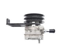 Per Isuzu Rodeo Trooper D-Max Per Holden Rodeo TF Monterey Jackaroo 8971295931 8-97129593-1 Pompa Servosterzo Automatica Pompa servosterzo pompa