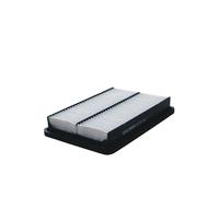 Filtro aria FILTRON AP107/10
