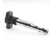 per la Bobina di accensione 1 Pezzo Bobina di accensione 07k905715G F per VW per Jetta per Golf per Passat per Tiguan per MAGOTAN per Skoda per Octavia per CC Eccellente