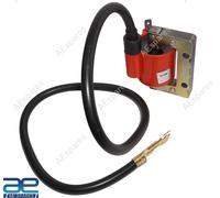 Per Lambretta Li 150 175 Gp SX TV Principale Bobina Accensione Bobina 6 Volt Aes