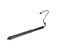 Per Land Rover Per Range Rover Per Vogue 2013-2020 LR058305 LR126172 LR104907 LR058306 LR104910 Supporto Sollevamento Elettrico Portellone Posteriore Molle A Gas Per Bagagliaio Elettrico(LH LR058305)