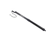 Per Lexus NT200 Per NX300H NX300 2017-2021 Supporto Sollevamento Portellone Elettrico Ammortizzatori Molle A Gas Pistoncini Baule(Rear Right RH)