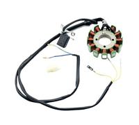 Per Lifan 250cc CG250 CG200 Pezzi Di Ricambio Bobina 12-18 Poli Magneto Statore Motore BUGGY Go Kart ATV QUAD 1x Statore Magnete Bobina(18 coil 300W 93mm)