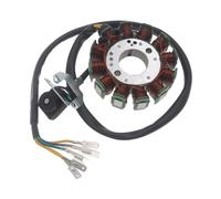 Per Loncin Per CB250 Raffreddato ad Acqua 250CC Motore Dirt Pit Bike ATV DC 12 Bobine Magneto Statore Stator Bobina