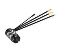 Per MAX6 G2 ESC 200A 1/6 1/7 1/8 RC Car Impermeabile Brushless 3-8S Lipo 4990 1650KV G2 Motore Per Combo Set Riparazione Aggiornamento Accessori Regolatore Velocità Rc(4990 Motor)