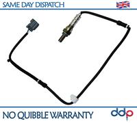 Per Mazda 3 MX-5 MK2 1.8 98-05 Fiat Sedici Post Cat Post. Sonda Lambda KLL818861