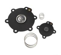 Per Mecair Pulse Jet Valve Kit di riparazione DB114 DB16 per VNP214 VNP314 VEM214 VEM314 con due diaframmi due molle