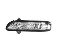 Per Mercedes Per Benz LS S 2006 2007 2008 2009 Sinistra Destra Porta Specchio Indicatore Di Direzione Accessori Auto Freccia Specchietto Laterale(Sinistra)