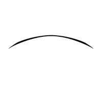 Per Mercedes Per Benz W205 S205 Classe C C180 C200 C300 C43 C63 Amg 2014-2021 Posteriore Del Tetto Bagagliaio Tronco Spoiler Ala Di Coda Labbro Spoiler Posteriore Per Auto(Nero lucido)