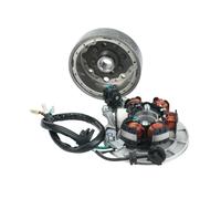 Per Motori 140 140cc 1P55FMJ Con Avviamento A Pedale Orizzontale Pi LF140 Kit Volano Magnete Statore Accensione Motore Generatore Statore