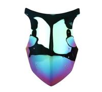 Per Ninja Per 1000SX Per Z1000SX Per Z 1000 Per SX 2011 2012-2016 Deflettore Parabrezza A Doppia Bolla Protezione Parabrezza Moto Parabrezza Anteriore(Iridium)