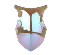 Per Ninja Per 1000SX Per Z1000SX Per Z 1000 Per SX 2011-2016 Parabrezza Deflettore A Doppia Bolla Protezione Parabrezza Moto Parabrezza Anteriore(White Iridium)