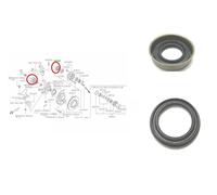 Per Nissan Navara D22 Pick Up 2.5TD Anteriore Verticale Nocca & Hub Paraolio