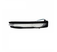 per Nissan per X-Trail T32 Qashqai J11 per Murano Z52 Navara NP300 per Pathfinder Indicatore di direzione Spia specchietto retrovisore