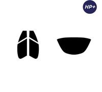 Per Opel Tigra Coupe 94-00 Carbonio Pre Taglio Finestrino Colore Full 2-ply HP +