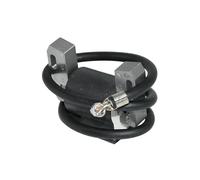 Per Per 298968 398811 7-16 Hp Modulo Allo Stato Solido Bobina Accensione Bobina Di Accensione