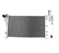 Per Peugeot 106 1.0L 1.1L 1.3L 1.4L 1.6L 1996-2004 Radiatore In Alluminio A 2 File