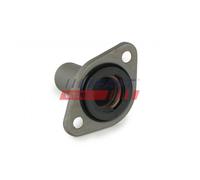 Per Peugeot 607 Boxer 406 Fiat Ducato Citroën C5 Bussola Di Cuscinetto Frizione