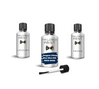 Per Peugeot China Blue Mica EGE M0 GE M4 GE - Penna per ritocchi con pennello (vernice per ritocchi + primer