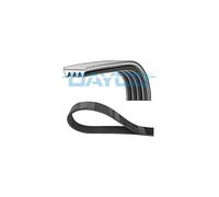 Per Peugeot Expert Fiat Scudo Siena Strada Pick-Up Palio Cinghia D'Accessori