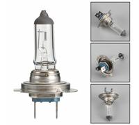 Per Philips Lampadine per auto H18 12V 65W PY26d-1 12643LL/ Y1 Y0 H7
