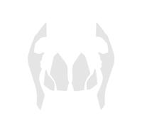 Per R 1250 RT 1250RT Accessori Pellicola Protettiva Invisibile In TPU PPF Kit Completo Di Verniciatura Carenatura Adesivi Trasparenti(Style F)