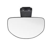 Per Rampe Specchietto Per DAF XF106