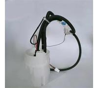 Per Range Per Rover Sport 2.7 TDV6 Pompa Del Carburante | Risolve meglio il problema del guasto della pompa del carburante OEM: WGS500110 Wgs500120 Gruppo pompa del carburante
